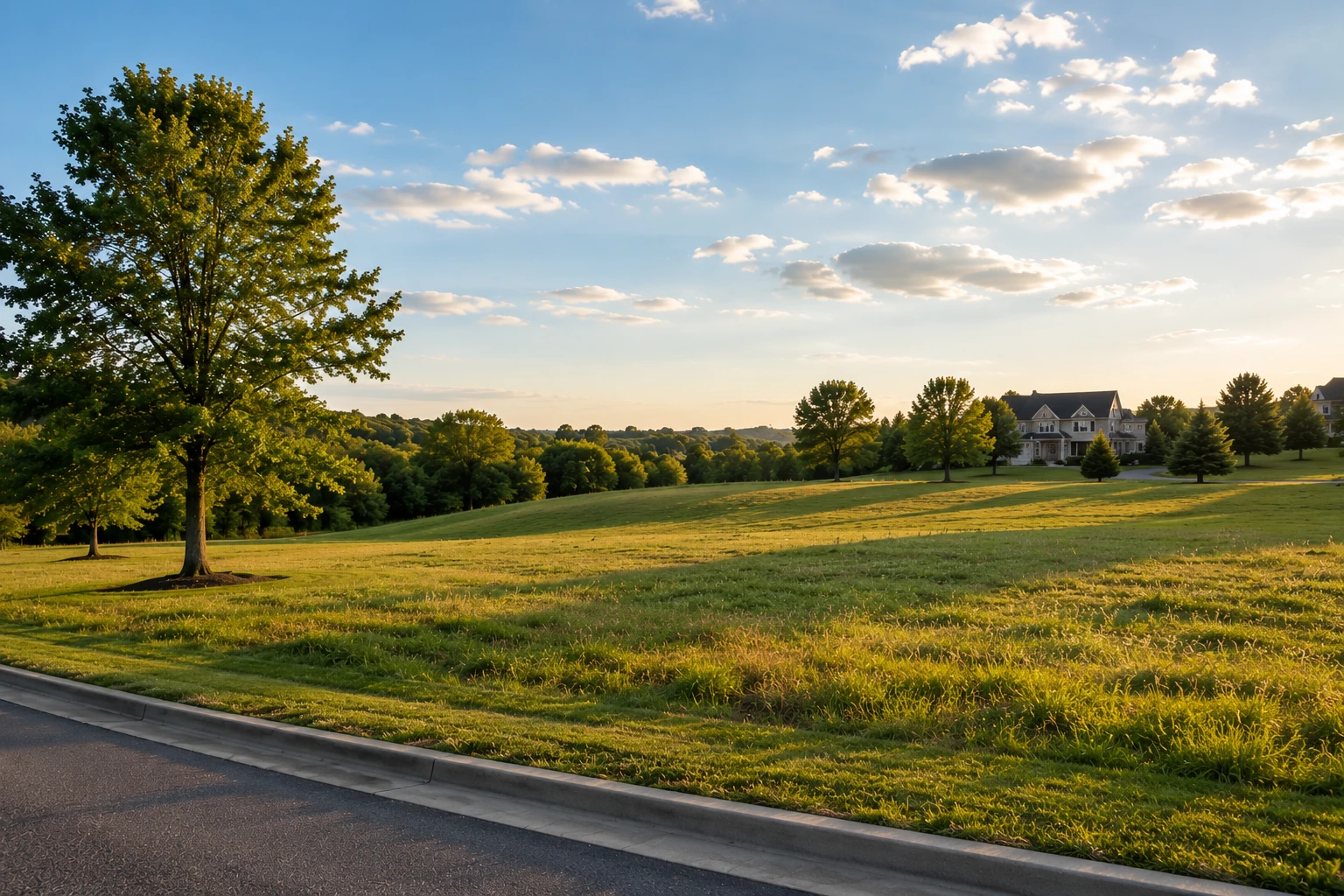Open grassy homesite beside a neighborhood road